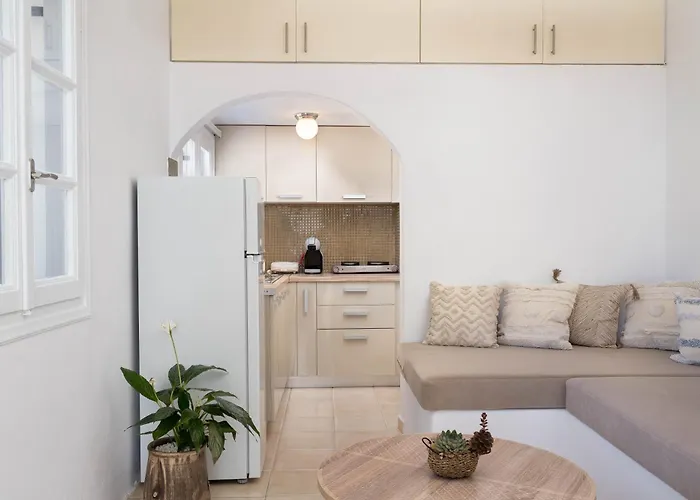 Red Harmony Modestos