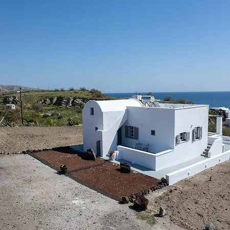 Red Harmony Modestos *