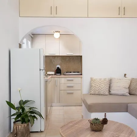 Red Harmony Modestos