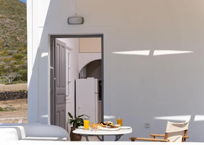 Red Harmony Modestos *