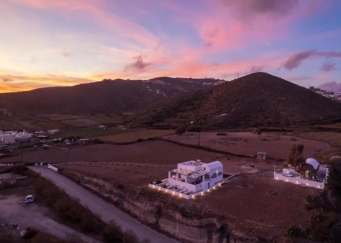 Red Harmony Modestos *