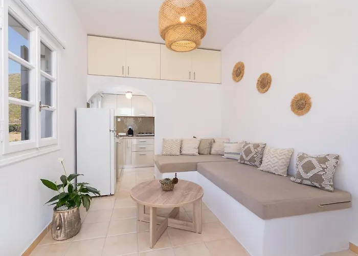 Red Harmony Modestos