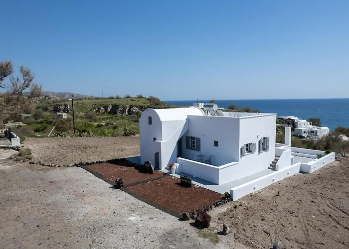 Red Harmony Modestos *