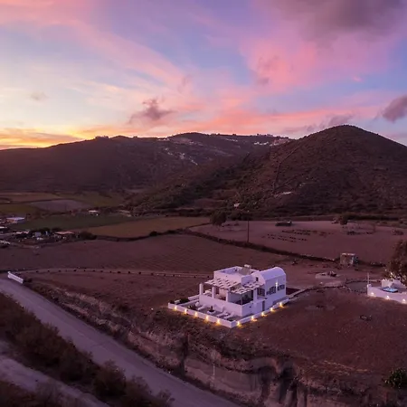 Red Harmony Modestos *