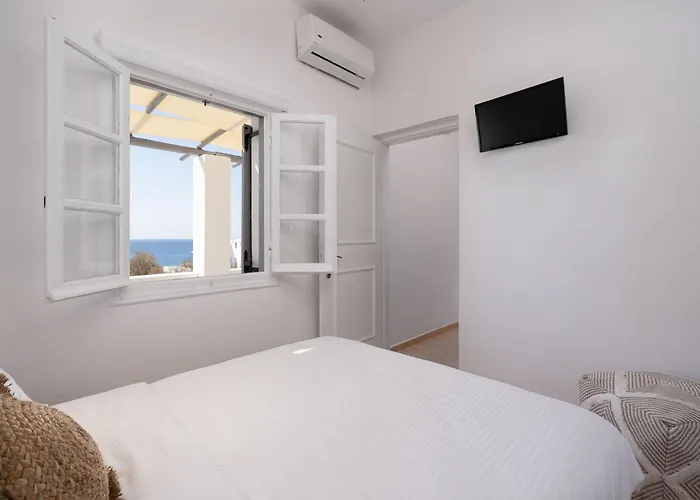 Red Harmony Modestos